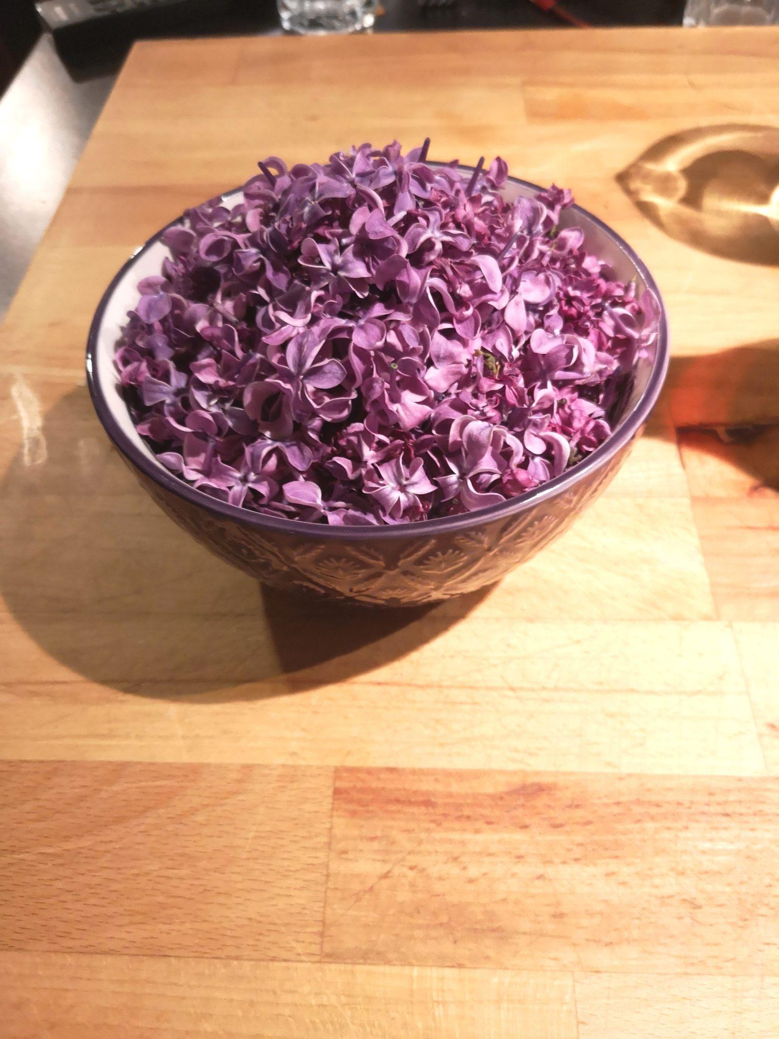Garten Flieder Rezepte