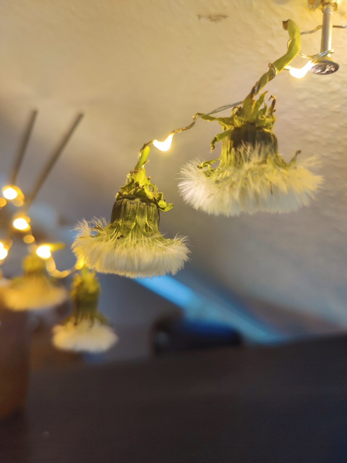 lichterkette natur  pusteblumen löwenzahn basteln für kinder