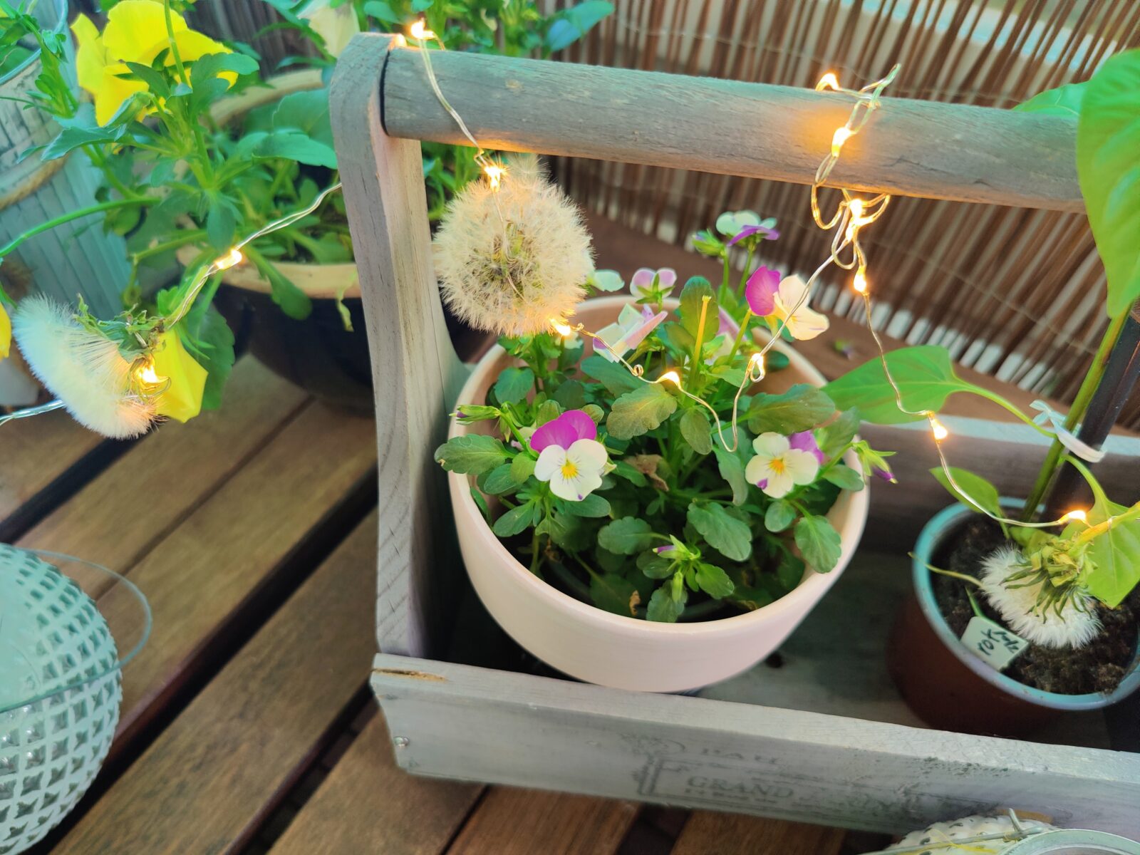 lichterkette mit pusteblumen sommer frühling idee kinder basteln